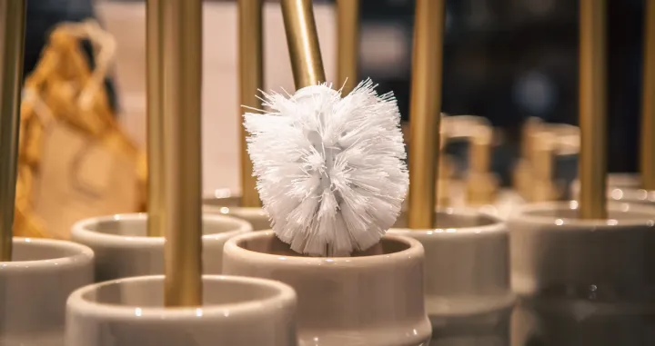 Pravilno čišćenje WC četke u 3 koraka/Free Pik