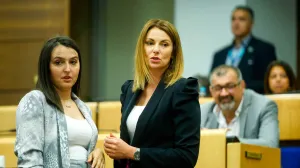 Dom naroda Parlamenta FBiH, sjednica, delegati, Parlament FBiH/Damir Deljo