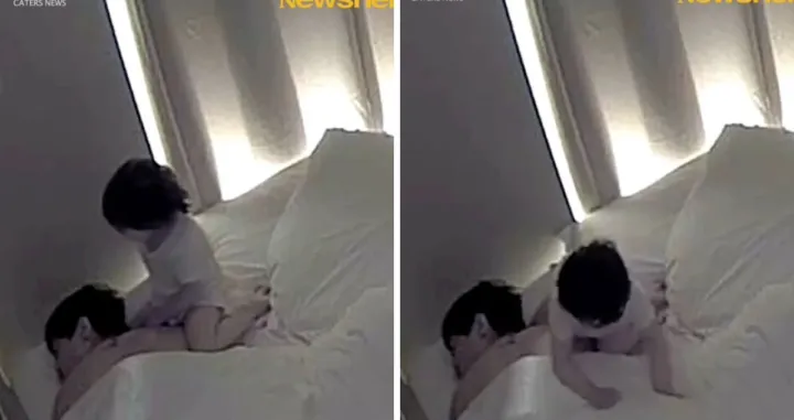 Hrabra reakcija malene Zebe/Instagram