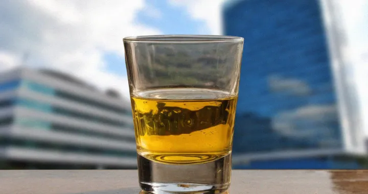 Kolumna Zlatka Dukić: Uloga rakije u paralizi vlasti/Ilustracija/Benjamin Krnić