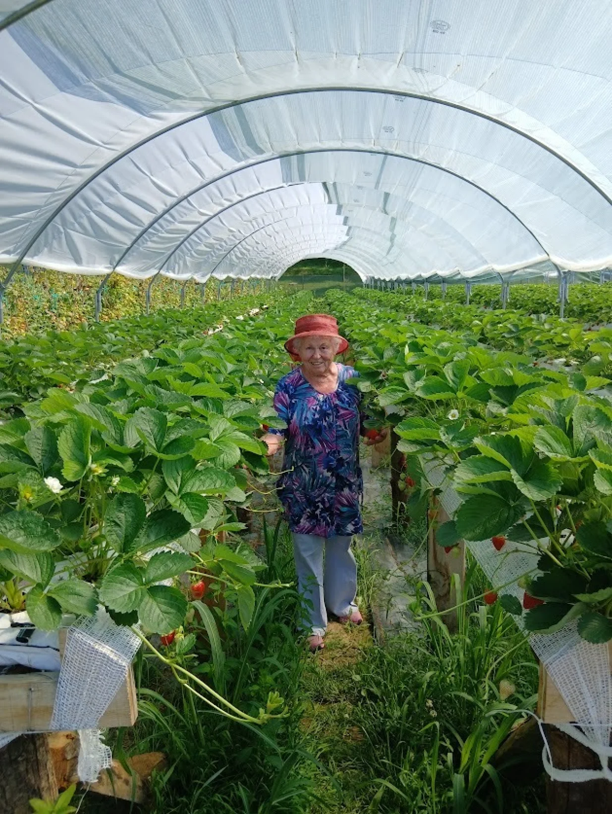 Zadovoljna je i naša suradnica/