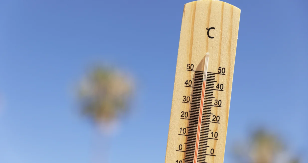 Indijski recept za hladan dom/Free Pik