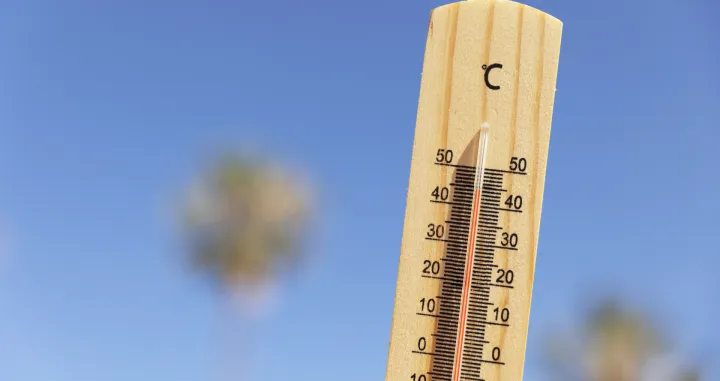 Indijski recept za hladan dom/Free Pik