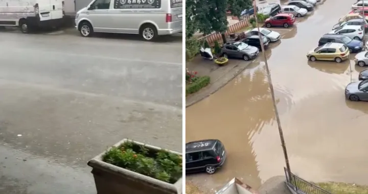 Haos u Priboju/Priboj Online