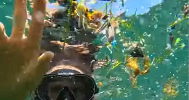 screenshot Tenerifi/Screenshot