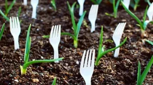 Viljuške u zemlji rješavaju veliki problem/Free Pik