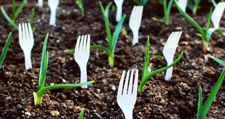 Viljuške u zemlji rješavaju veliki problem/Free Pik