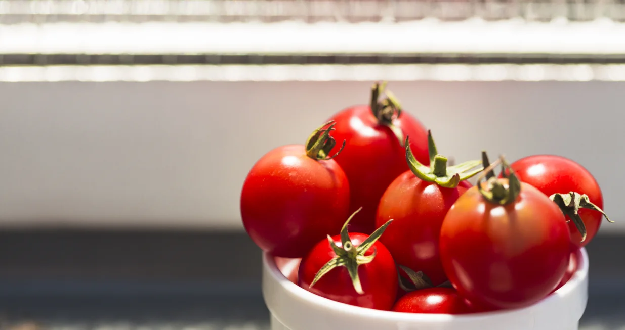 Naučite trik za dugotrajnu svježinu/Free Pik