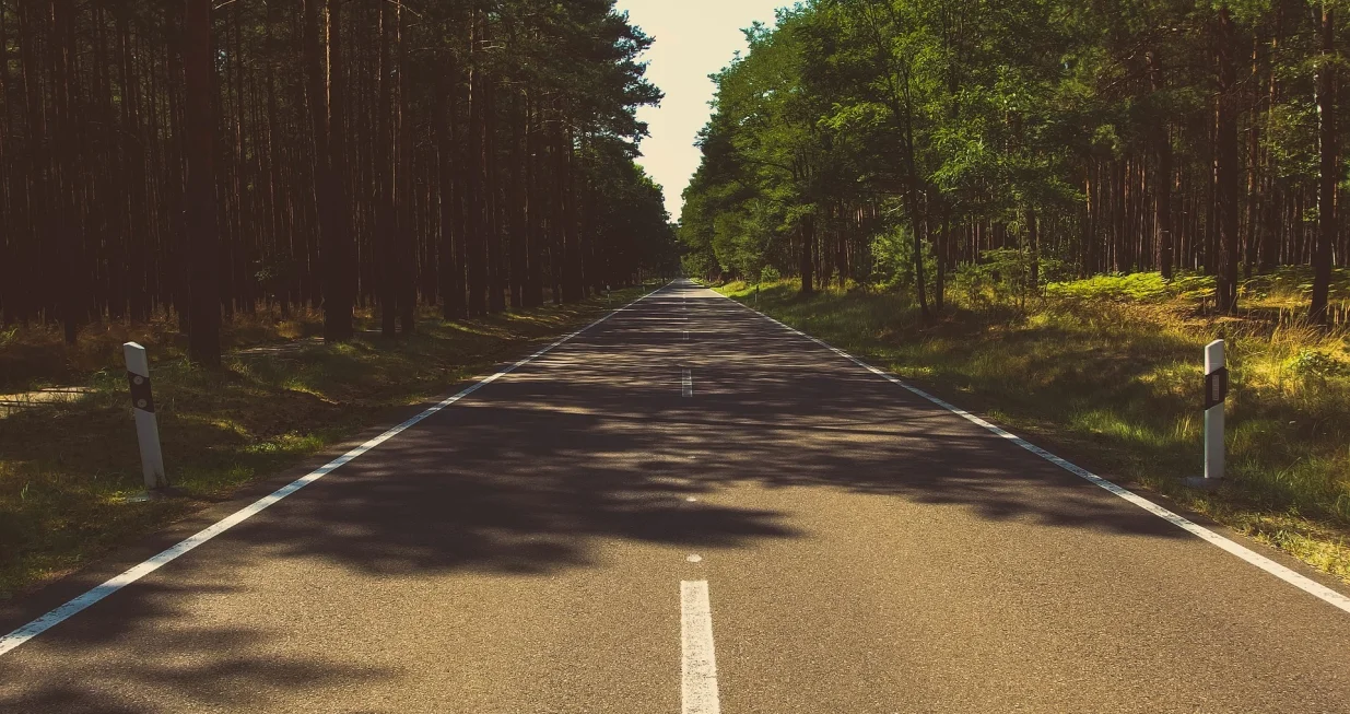 Životinja ilustracija/