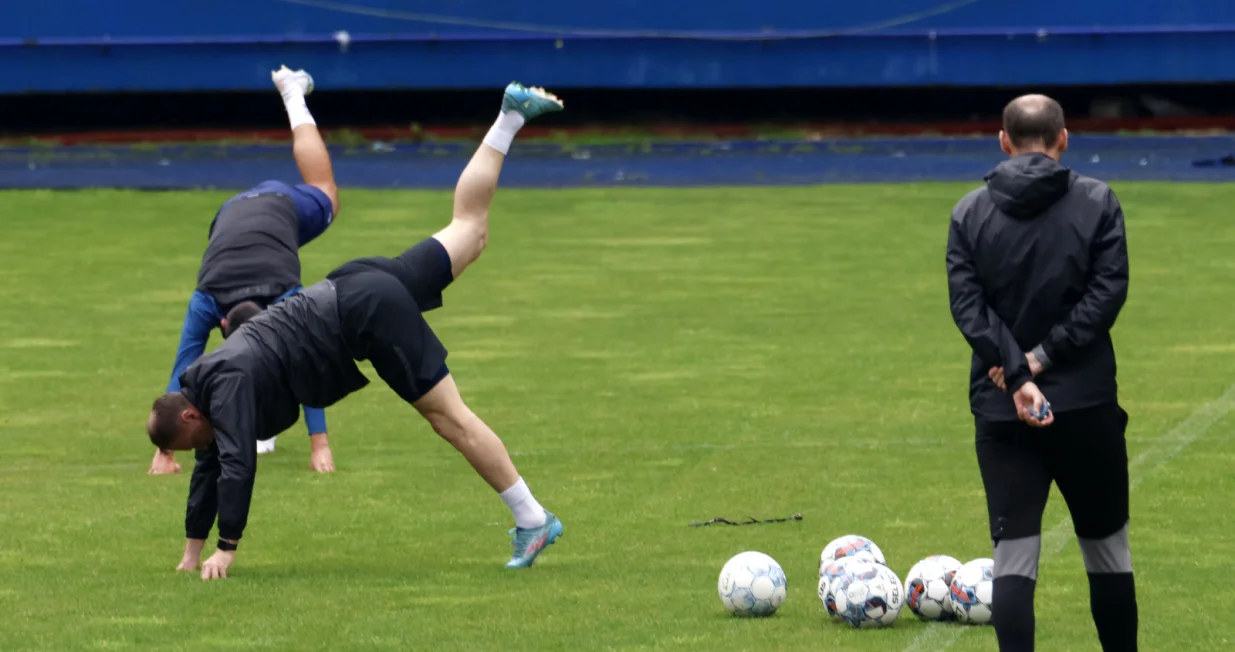 Elvir RahimićAlmir Seferović 