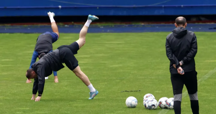 Elvir RahimićAlmir Seferović 