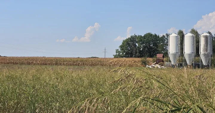 Lijevče Polje nadomak Gradi&scaron;ke/Goran Dakić/