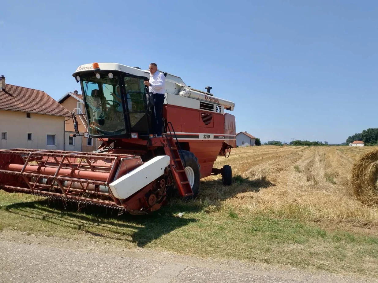 Bijeljina žetva pšenice/Љерка Бјелица