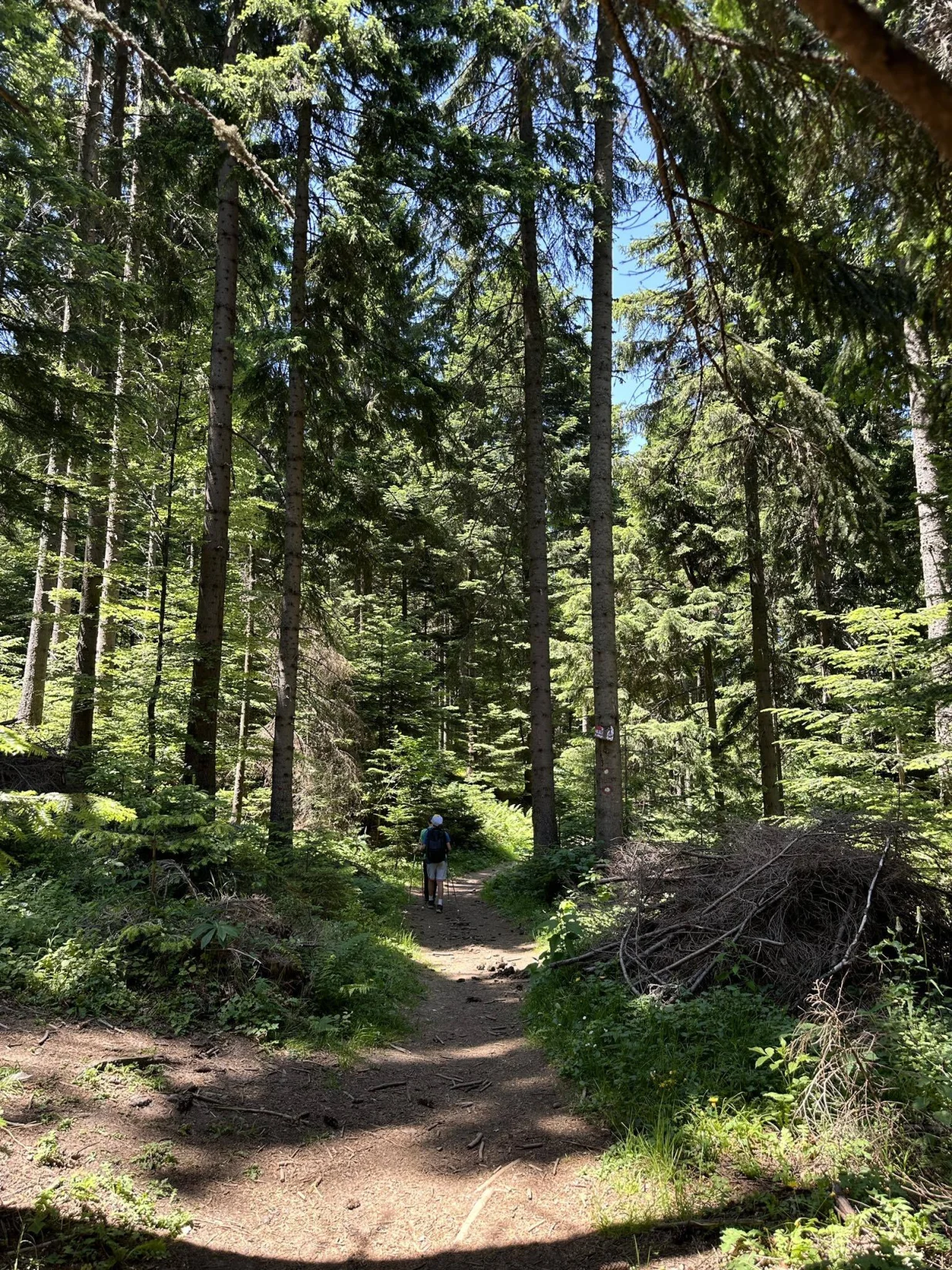 Trebević, vremenska prognoza, sunčan dan/Oslobođenje