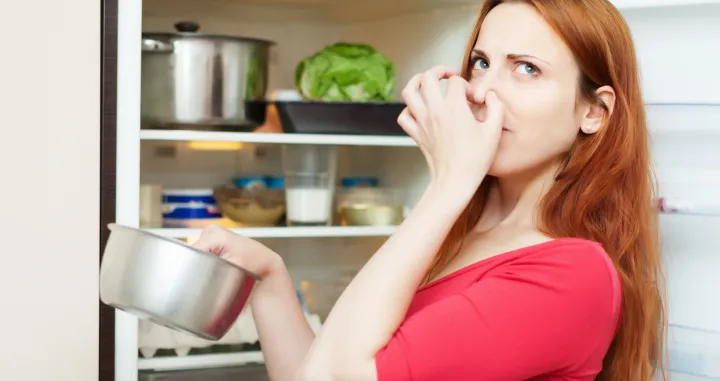 Praktičan trik za svježinu i miris/Free Pik