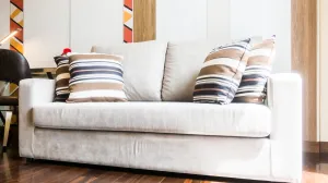 Osim što uklanja prljavštinu, neutralizira neugodne mirise/Free Pik