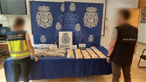 Zapljena tokom akcije Europola i španske policije/Europol