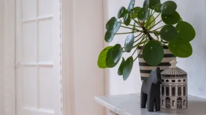 Ne traži nikakvu posebnu njegu/Free Pik