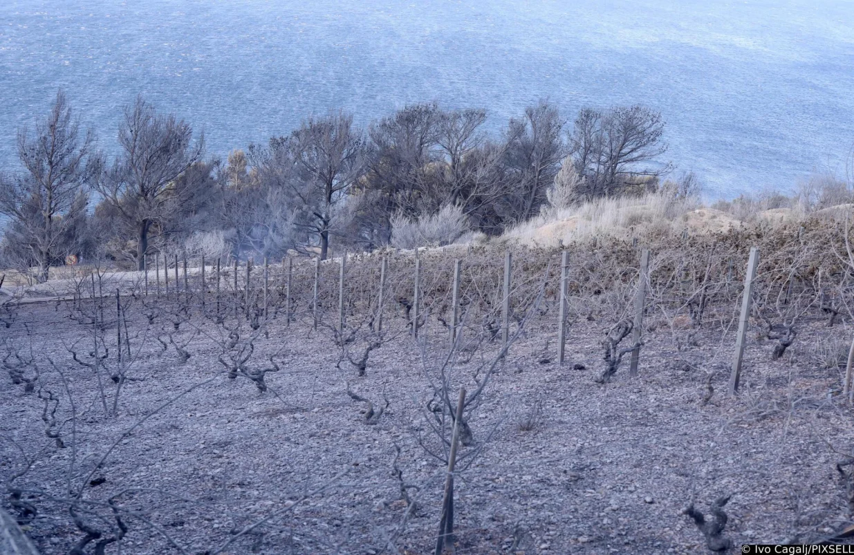 22.06.2025.,Omis - Jutro na pozaristu kod Mimica i Marusica protice bez novih aktivnih pozara. Vatrogasci koji su probdjeli cijelu noc dezurajuci iscekuju smjene a stanovnici u iscekivanju dolaska radnika HEP-a. Photo: Ivo Cagalj/PIXSELL/Ivo Cagalj/pixsell