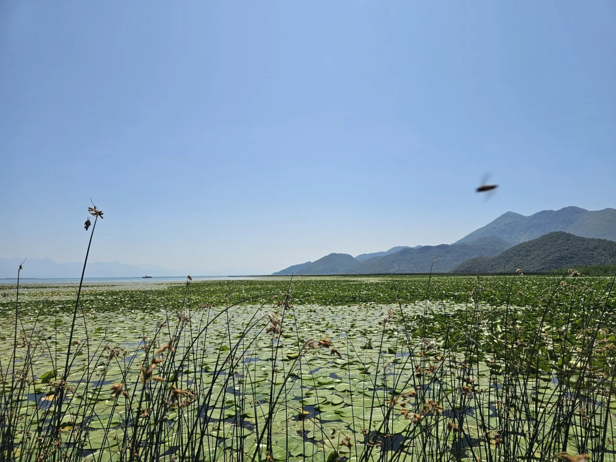 Skadarsko jezero/Anadolu Agency
