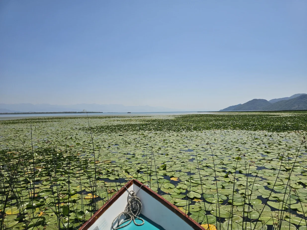 Skadarsko jezero/Anadolu Agency