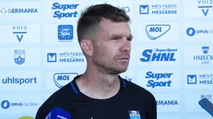 Simon Rožman (FOTO: Screenshot/NK Osijek)