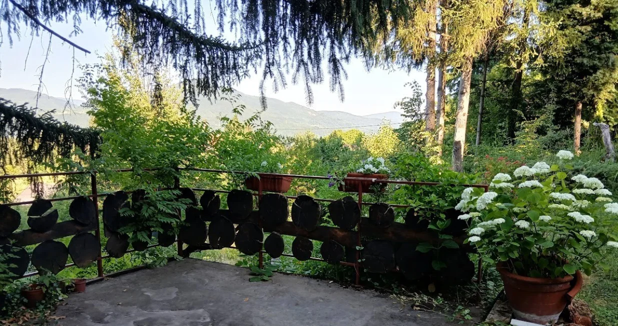 Ograda na terasi iznad čatrnje/