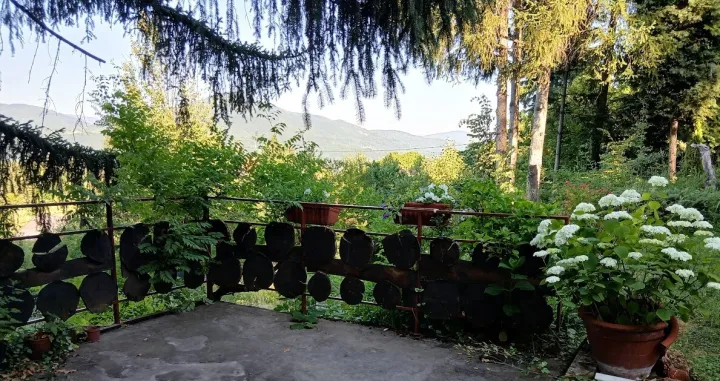 Ograda na terasi iznad čatrnje/