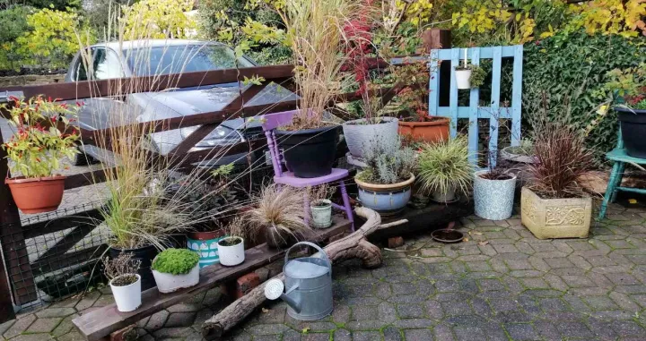 Terasa i biljke u loncima/