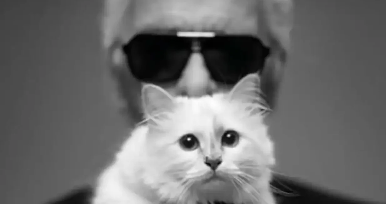 Choupette je jedna sretna i bogata mačka/ Instagram/