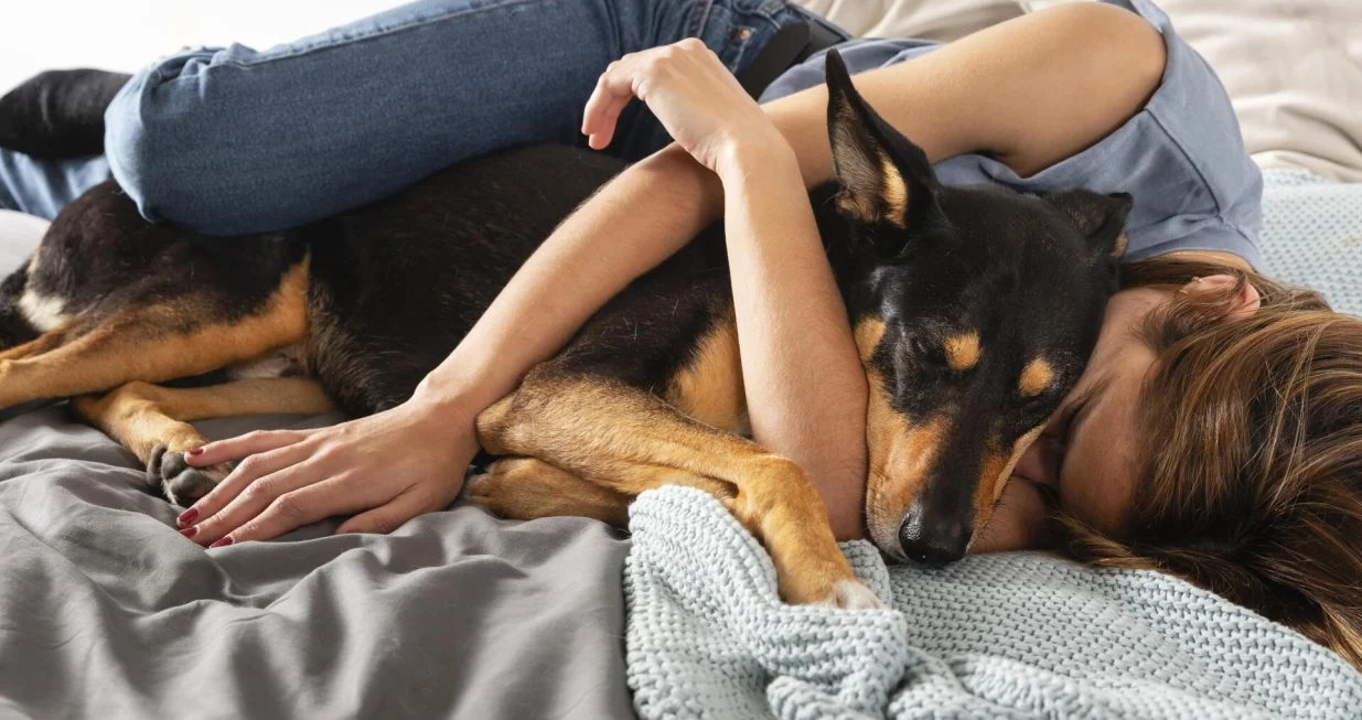 psi, spavanje pasa, pas u krevetu, spavanje sa psom/Freepik