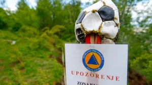 Curine njive u maju/Damir Deljo