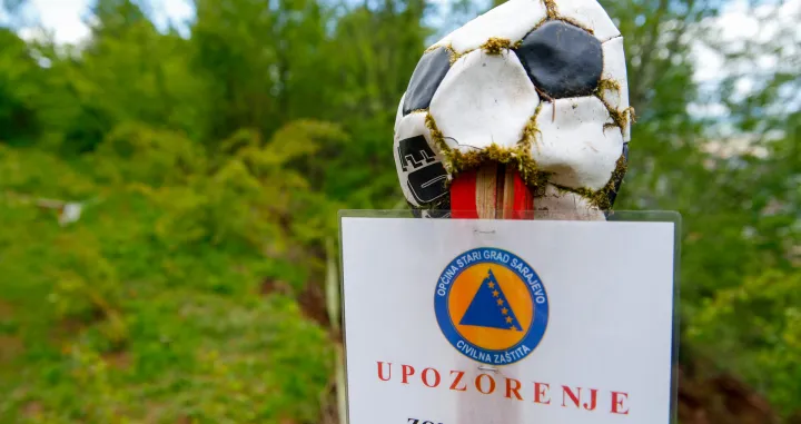 Curine njive u maju/Damir Deljo