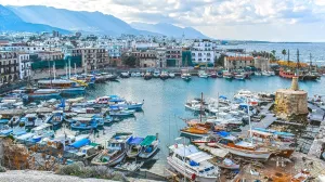 Kipar na meti izraelskih kupaca nekretnina/Pixabay