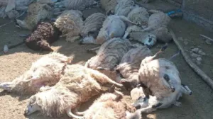 Foto: Hercegovina.info/