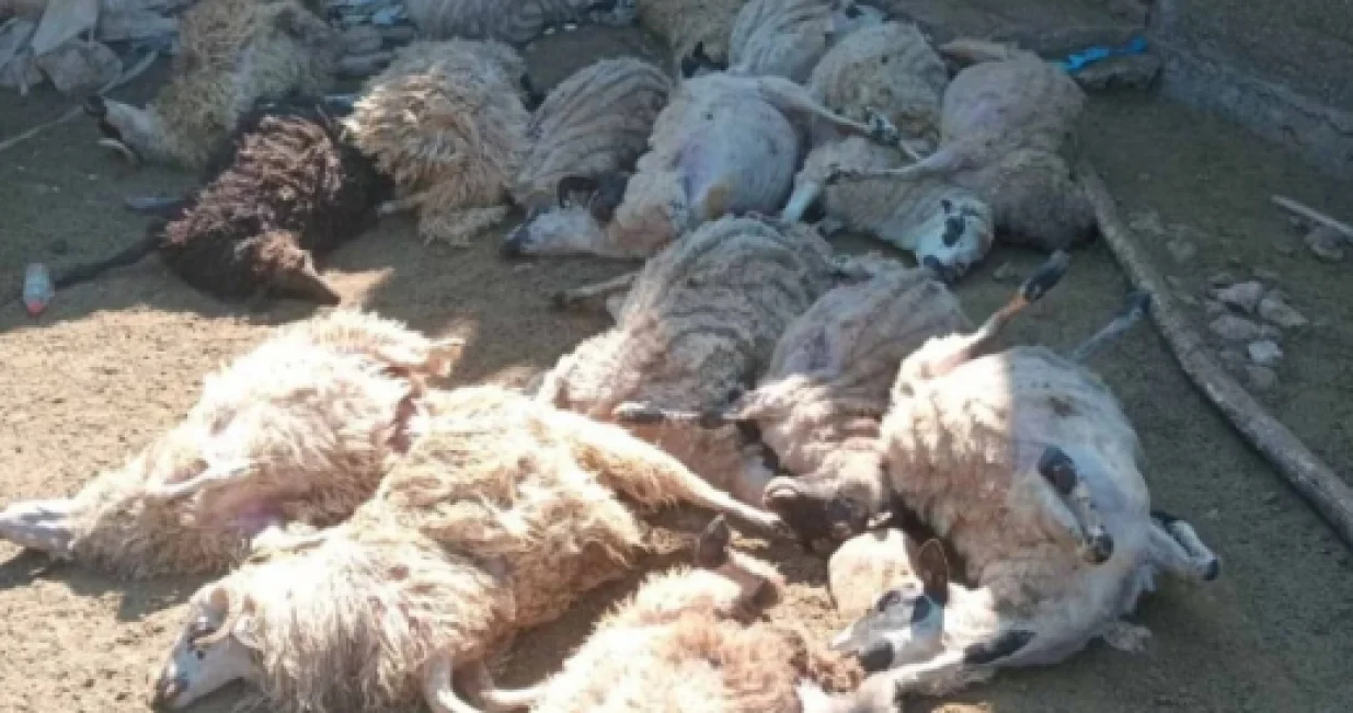 Foto: Hercegovina.info/