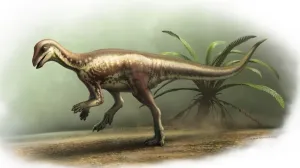 Crtež prikazuje kako je Enigmacursor mollyborthwickae mogao izgledati /Bob Nicholls Art/CNN/Bob Nicholls Art/Cnn