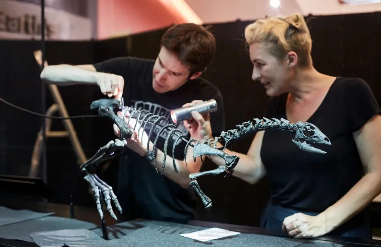 Enigmacursor mollyborthwickae, Kostur će biti izložen u muzeju u londonu, novi dinosaurus/Lucie Goodayl/Cnn