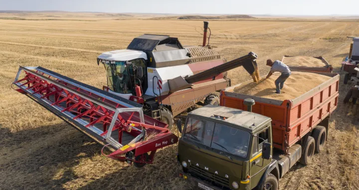 Poljoprivrednici u regiji Urala imali su dobru žetvu, a branje pšenice olakšava suva klima zbog koje mogu raditi i tokom noći bez rose.  (Aleksander Murzyak - Anadolu Agency)/�