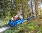 Jahorina alpinecoaster/O.c. Jahorina Web
