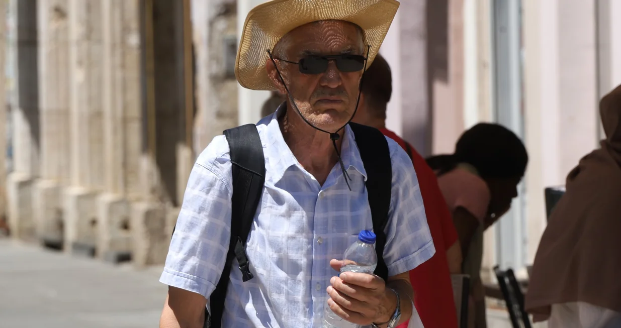 Šetnja barščeršijom/Senad Gubelić