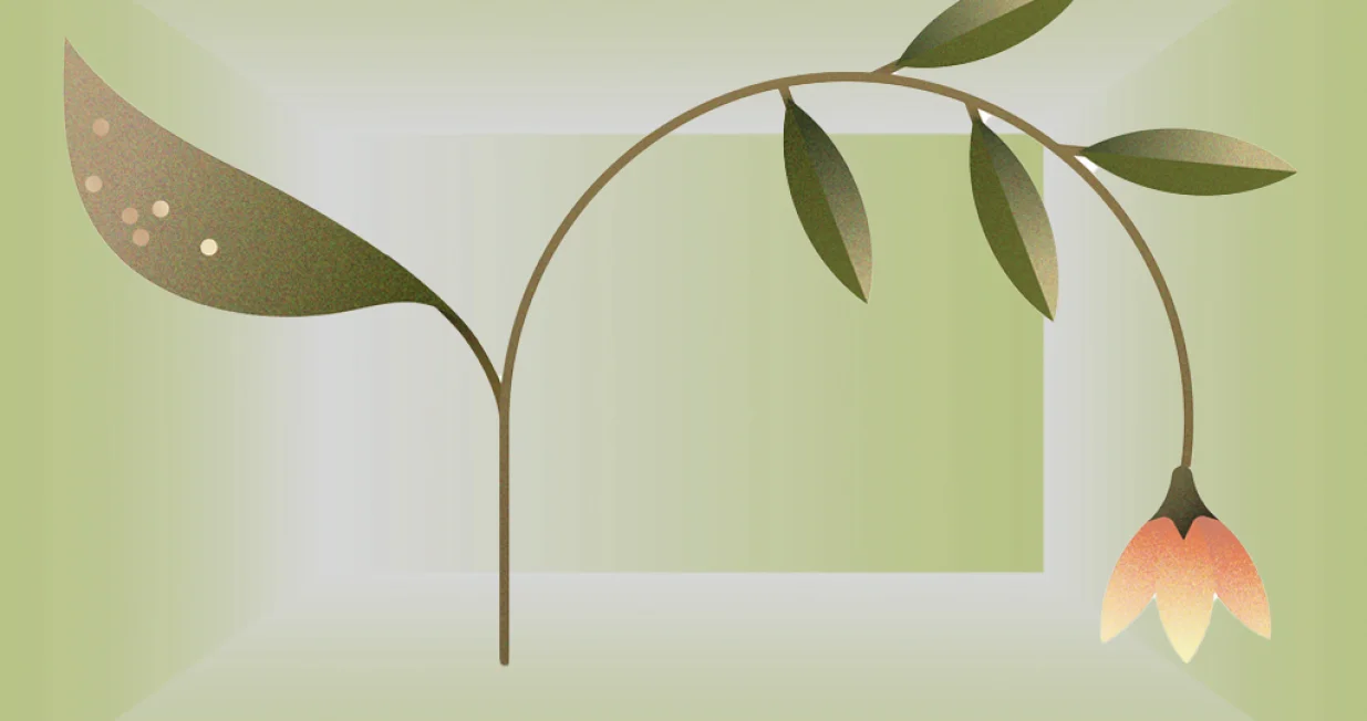 Vizual za kolumnu Eldine Zolj Balenović, putuj selma/Benjamin Krnić 