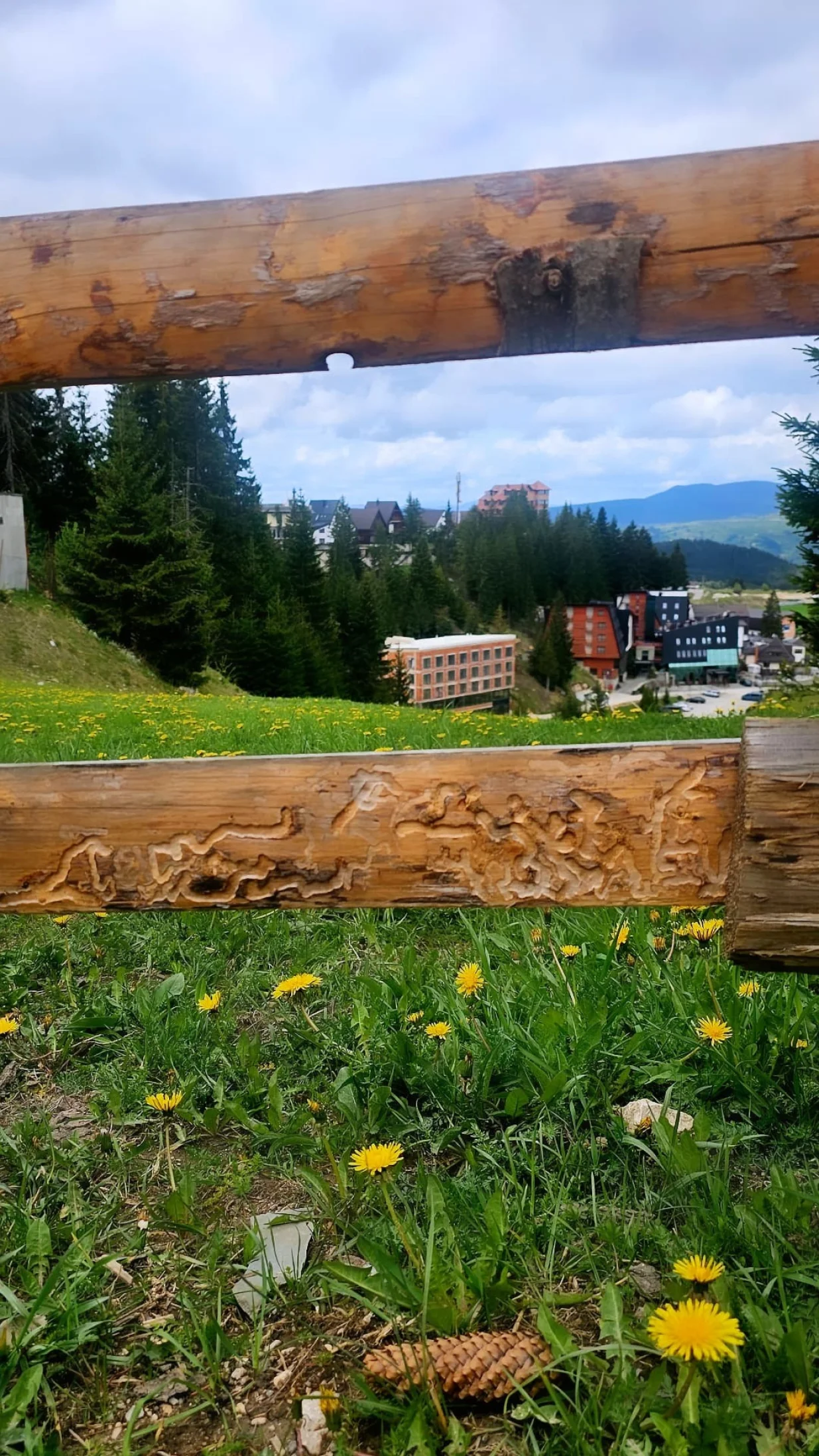 Vlašić/Aida Džambegović