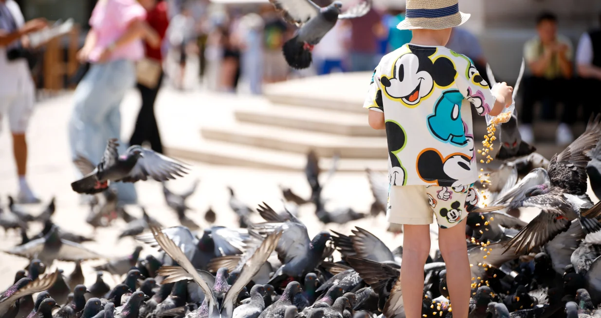 Toplo vrijeme juni 2025/Damir Deljo