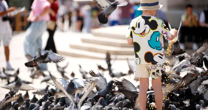 Toplo vrijeme juni 2025/Damir Deljo