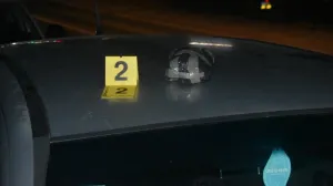 Oduzeto oko 800 tableta ekstazija/MUP ZDK//