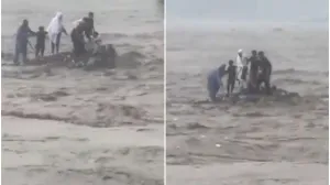 Jezivi prizori/Printscreen/X.com//