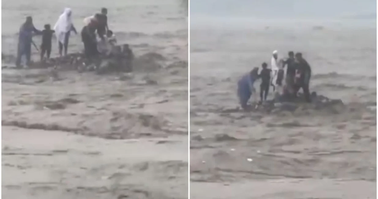 Jezivi prizori/Printscreen/X.com//