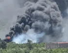 požar u hercegovini, ljubuški, vjetar otežava gašenje/Facebook