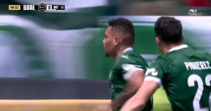 Paulinho, Palmeirras